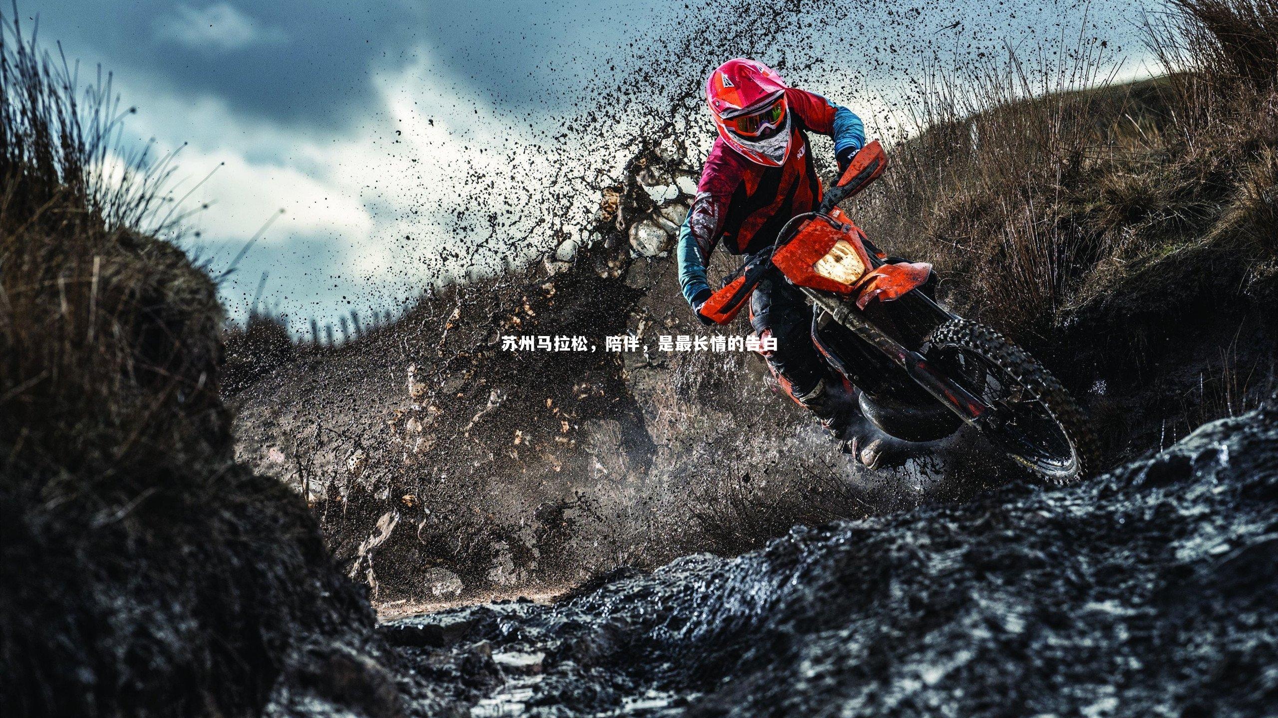 开云体育平台-苏州马拉松，陪伴，是最长情的告白